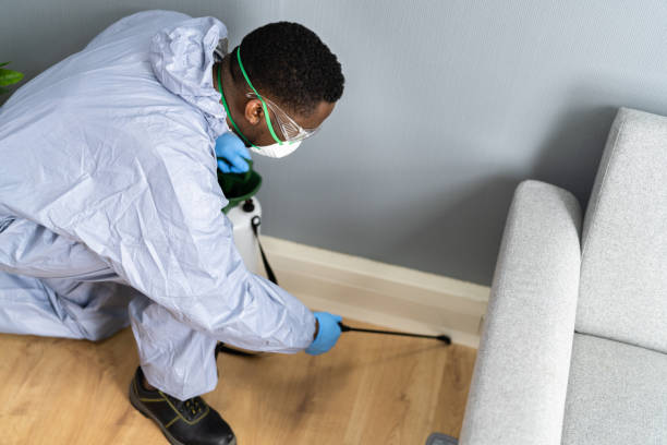 Best Pest Control for Multi-Family Homes  in Hickory Creek, TX